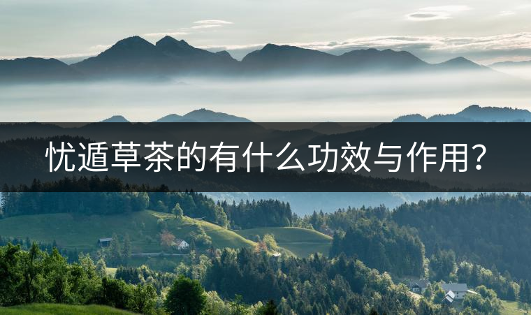 憂遁草茶的有什么功效與作用？