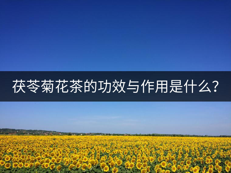 茯苓菊花茶的功效與作用是什么？