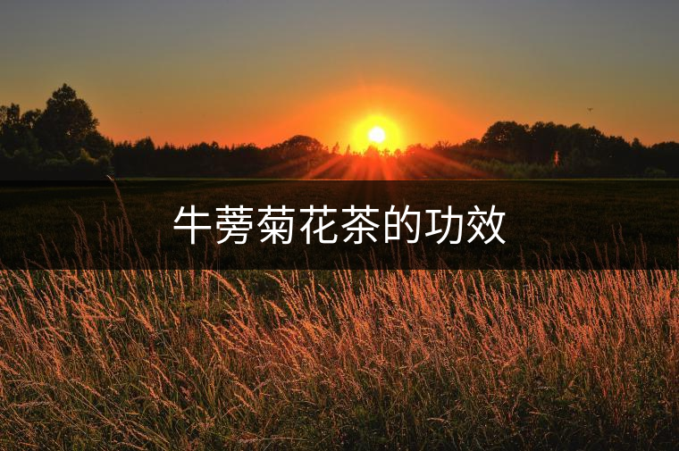 牛蒡菊花茶的功效