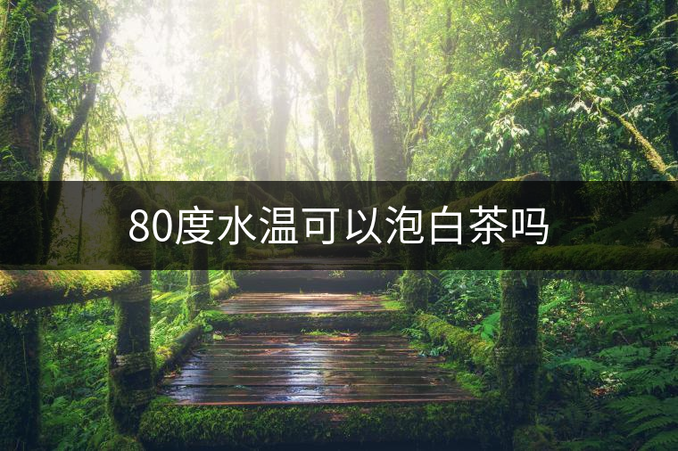 80度水溫可以泡白茶嗎
