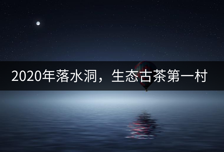 2020年落水洞，生態(tài)古茶第一村-易武中聘號
