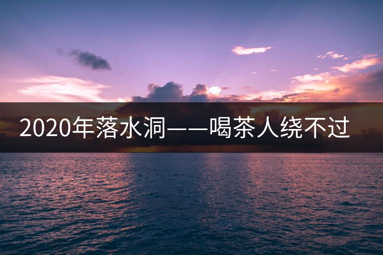 2020年落水洞——喝茶人繞不過的溫柔鄉(xiāng)！-易武中聘號