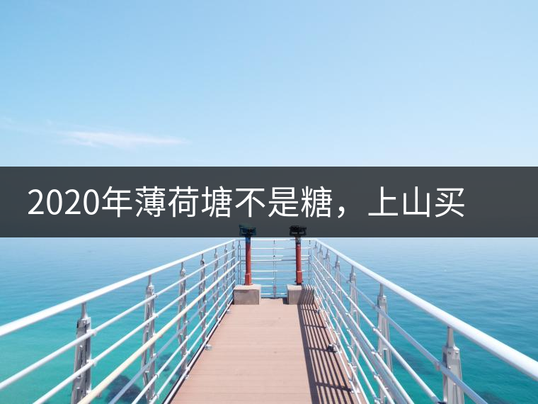2020年薄荷塘不是糖，上山買茶除了帶鈔票還得搖號-易武中聘號