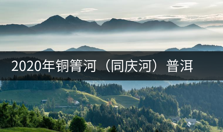 2020年銅箐河（同慶河）普洱茶，野味真難尋！-易武中聘號(hào)