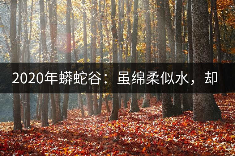 2020年蟒蛇谷：雖綿柔似水，卻氣場十足-易武中聘號