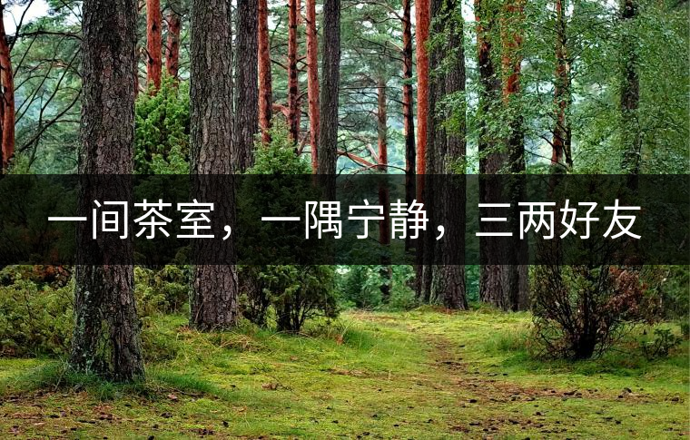 一間茶室，一隅寧靜，三兩好友