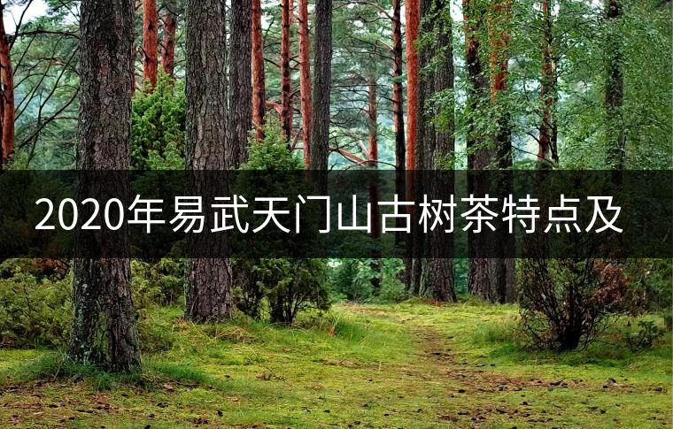 2020年易武天門山古樹茶特點(diǎn)及價(jià)格-易武中聘號(hào)