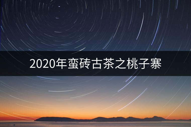 2020年蠻磚古茶之桃子寨 2020年蠻磚古茶之桃子寨