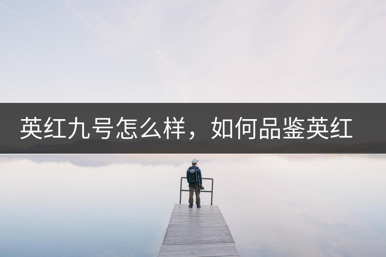 英紅九號(hào)怎么樣，如何品鑒英紅九號(hào)紅茶