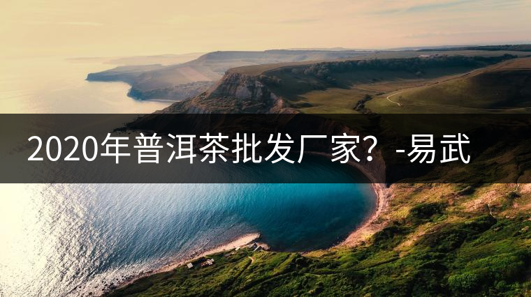 2020年普洱茶批發(fā)廠家？-易武中聘號(hào)