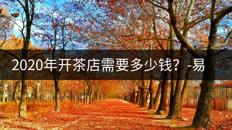 2020年開茶店需要多少錢？-易武中聘號