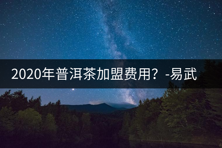 2020年普洱茶加盟費用？-易武中聘號