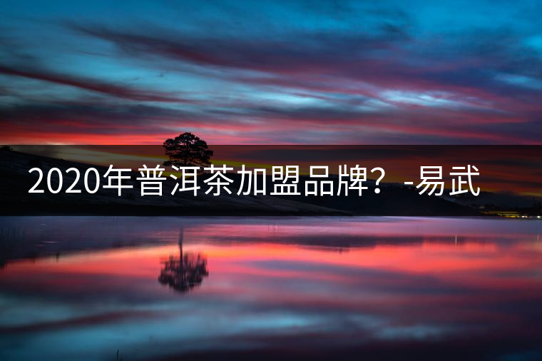 2020年普洱茶加盟品牌？-易武中聘號