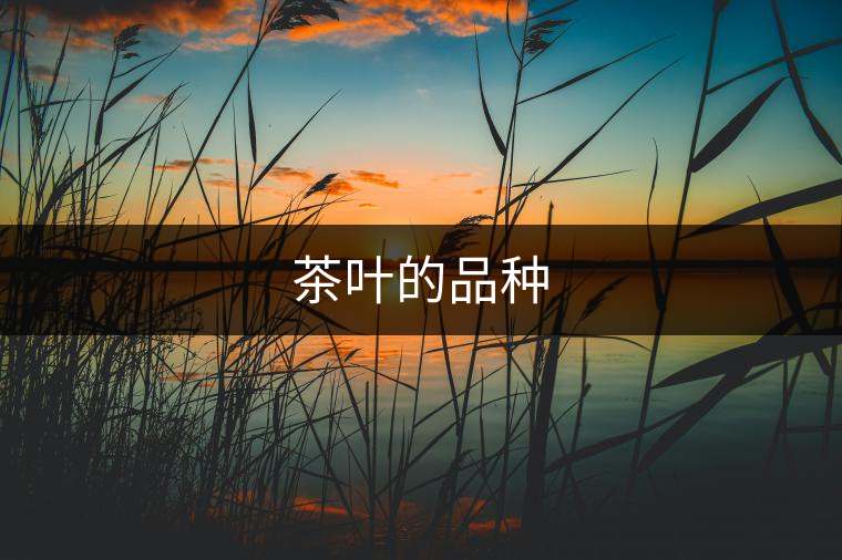 茶葉的品種