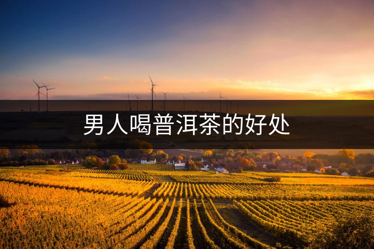 男人喝普洱茶的好處