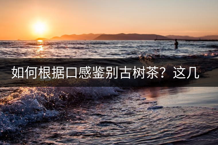 如何根據(jù)口感鑒別古樹茶？這幾個(gè)技巧值得收藏