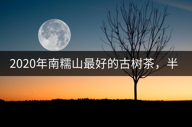 2020年南糯山最好的古樹茶，半坡老寨！-易武中聘號