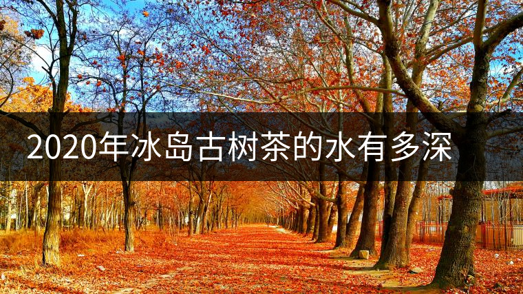2020年冰島古樹茶的水有多深？別被蒙在鼓里啦-易武中聘號