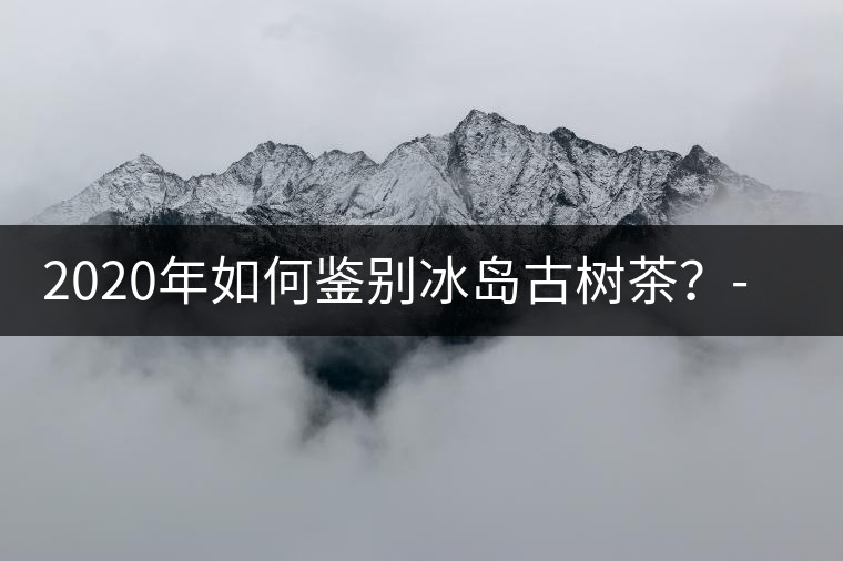 2020年如何鑒別冰島古樹茶？-易武中聘號