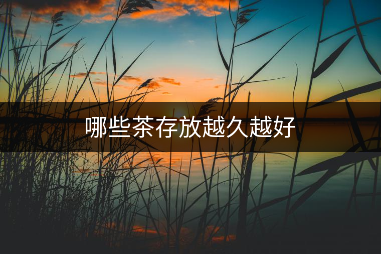 哪些茶存放越久越好 哪些茶存放越久越好