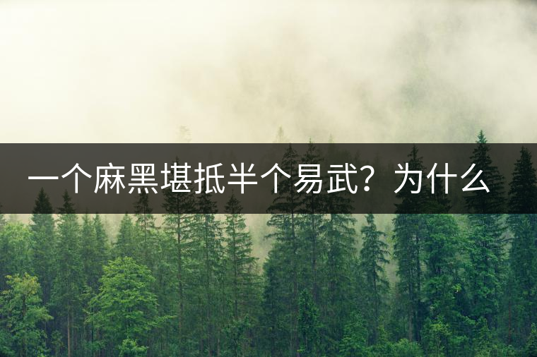 一個麻黑堪抵半個易武？為什么這么好喝？