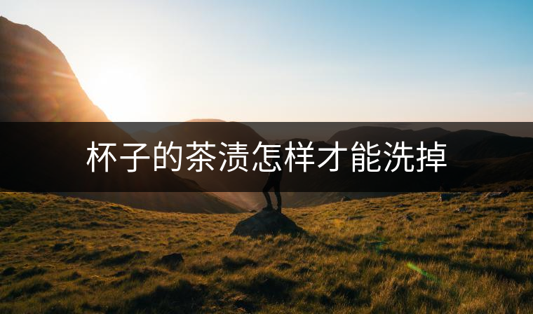 杯子的茶漬怎樣才能洗掉 杯子的茶漬怎樣才能洗掉