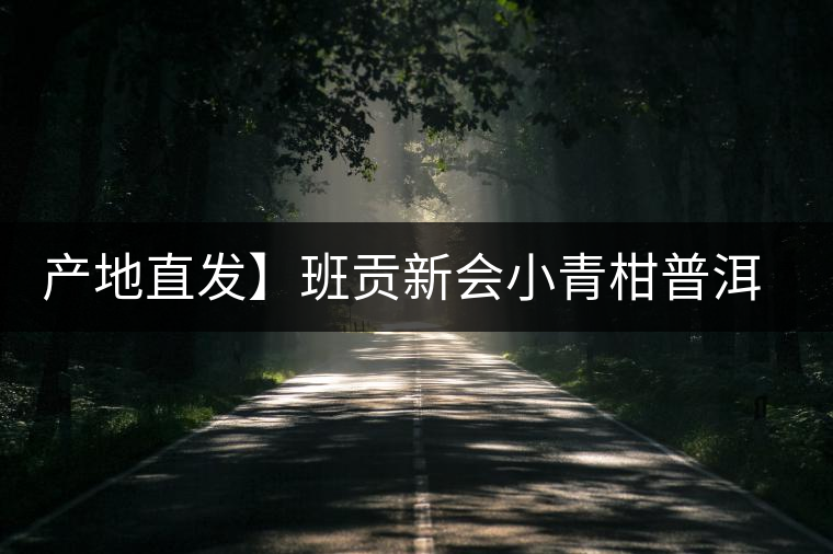 產(chǎn)地直發(fā)】班貢新會(huì)小青柑普洱茶柑普茶陳皮熟茶茶葉桔橘宮廷特級(jí)
