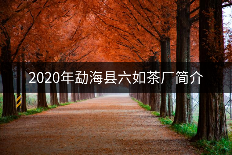 2020年勐?？h六如茶廠簡介