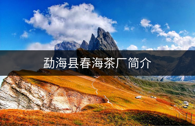 勐?？h春海茶廠簡(jiǎn)介