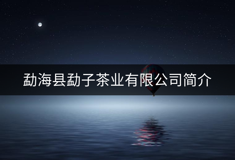 勐?？h勐子茶業(yè)有限公司簡(jiǎn)介