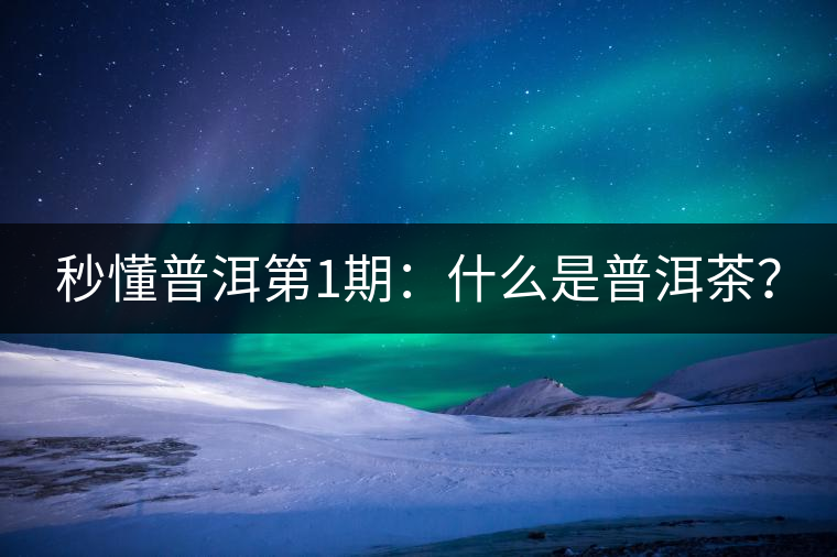 秒懂普洱第1期：什么是普洱茶？