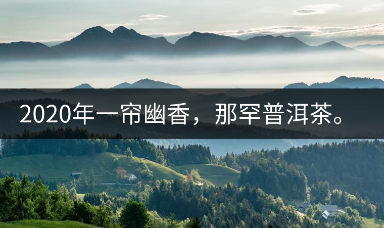 2020年一簾幽香，那罕普洱茶。-易武中聘號