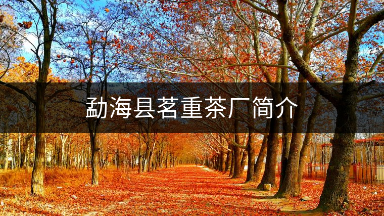 勐??h茗重茶廠簡介 勐海縣茗重茶廠簡介