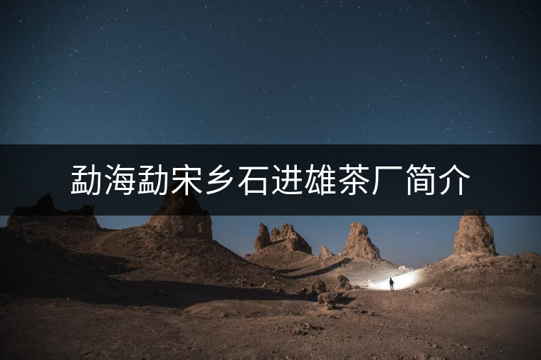 勐海勐宋鄉(xiāng)石進雄茶廠簡介