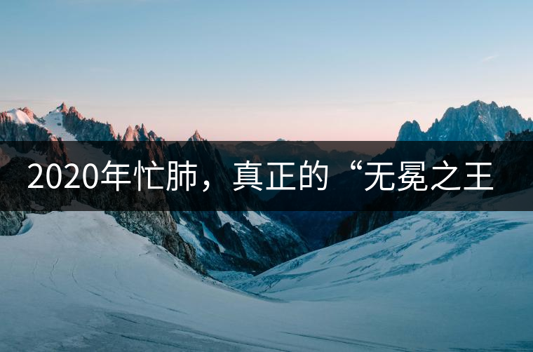 2020年忙肺，真正的“無冕之王”！-易武中聘號