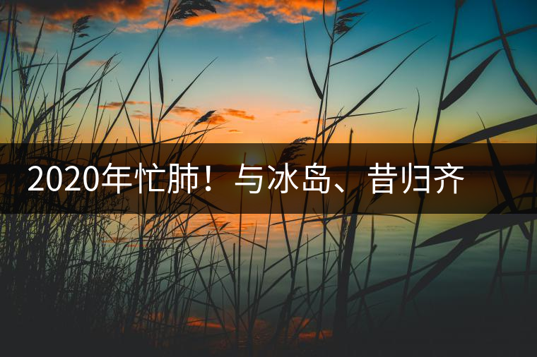 2020年忙肺！與冰島、昔歸齊名的普洱茶，到底是什么味道？-易武中聘號