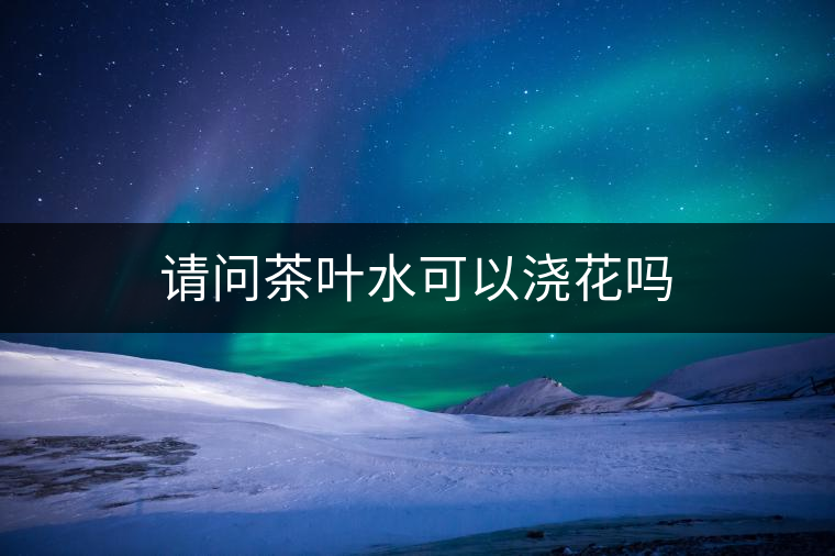 請問茶葉水可以澆花嗎 請問茶葉水可以澆花嗎