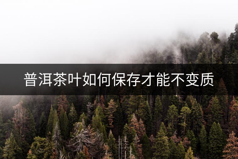 普洱茶葉如何保存才能不變質(zhì) 普洱茶葉如何保存才能不變質(zhì)