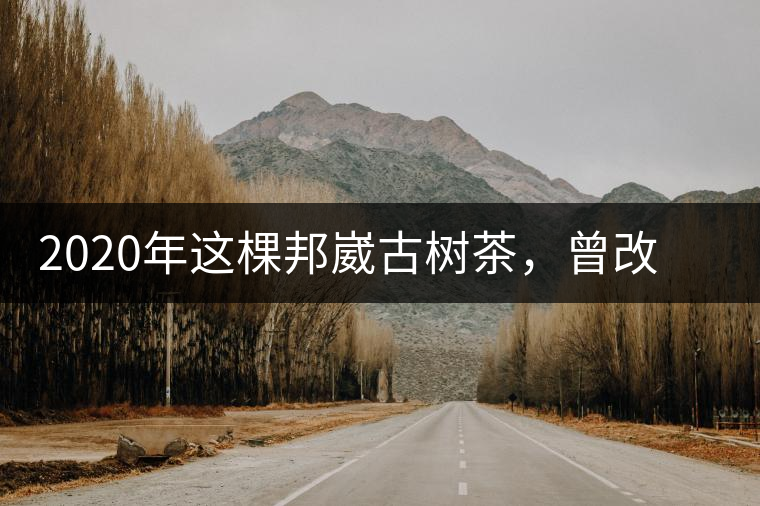 2020年這棵邦崴古樹茶，曾改寫普洱茶歷史！-易武中聘號(hào)