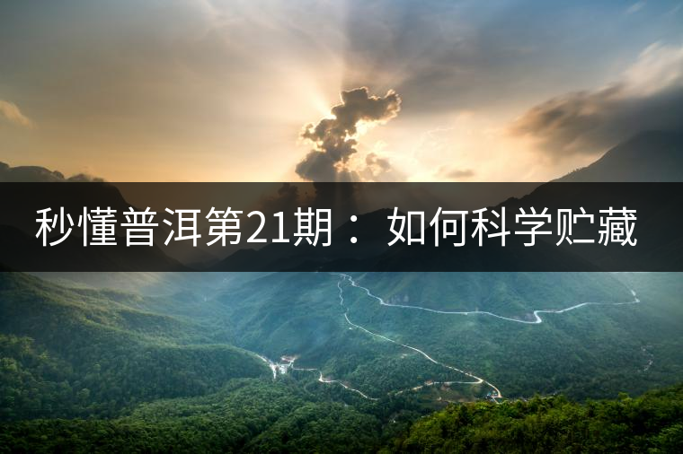 秒懂普洱第21期 ：如何科學(xué)貯藏普洱茶？