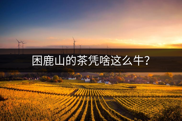 困鹿山的茶憑啥這么牛？