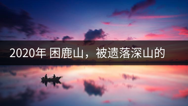 2020年 困鹿山，被遺落深山的皇家古茶園-易武中聘號