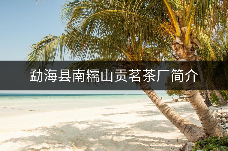 勐?？h南糯山貢茗茶廠簡介