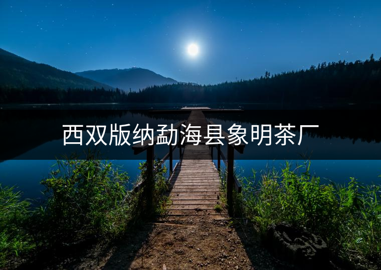 西雙版納勐?？h象明茶廠