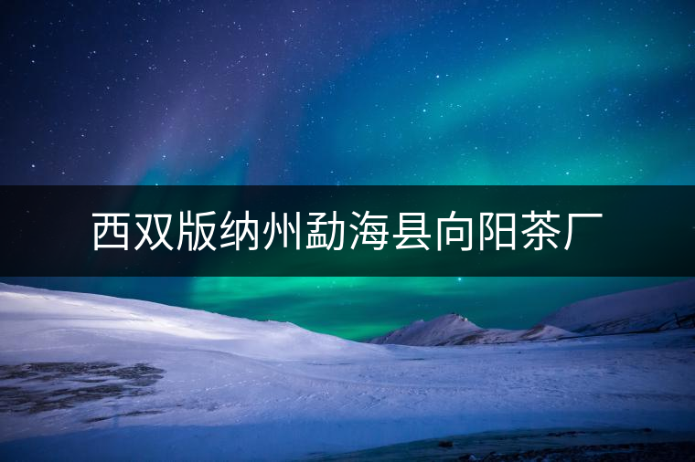 西雙版納州勐?？h向陽茶廠