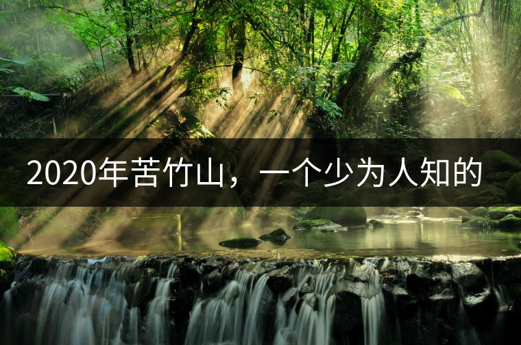 2020年苦竹山，一個少為人知的后起之秀！-易武中聘號