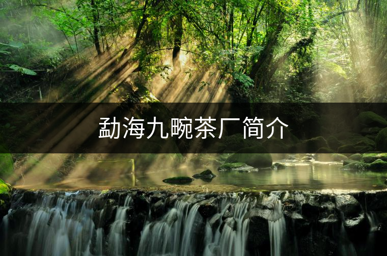 勐海九畹茶廠簡(jiǎn)介 勐海九畹茶廠簡(jiǎn)介