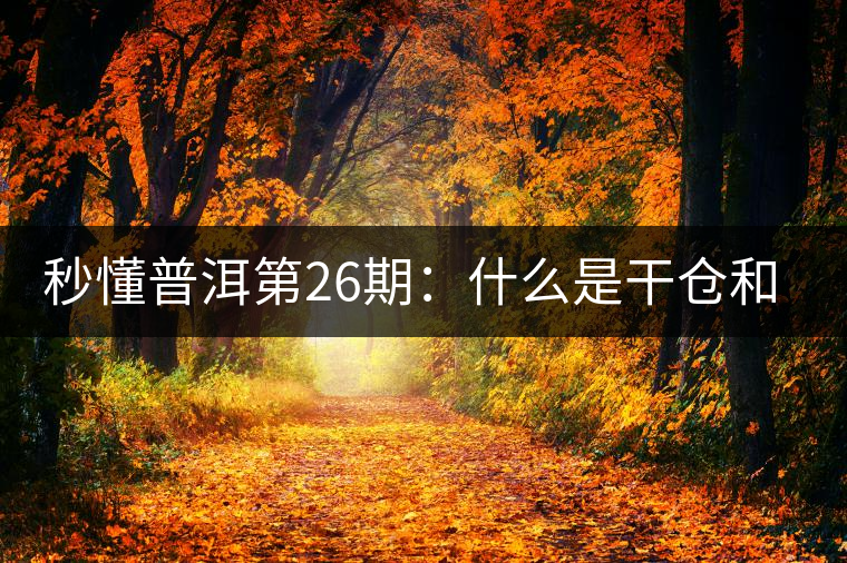 秒懂普洱第26期：什么是干倉和濕倉？