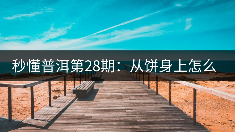 秒懂普洱第28期：從餅身上怎么辨識干倉與濕倉 普洱茶？