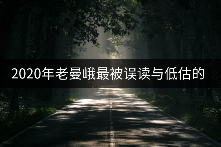 2020年老曼峨最被誤讀與低估的名山茶-易武中聘號 2020年老曼峨最被誤讀與低估的名山茶-易武中聘號